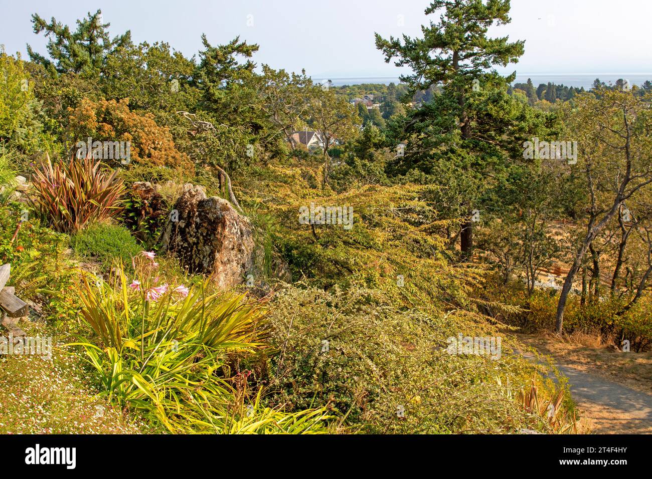 The Rock and Alpine Garden a Government House, Victoria, Vancouver Island Foto Stock