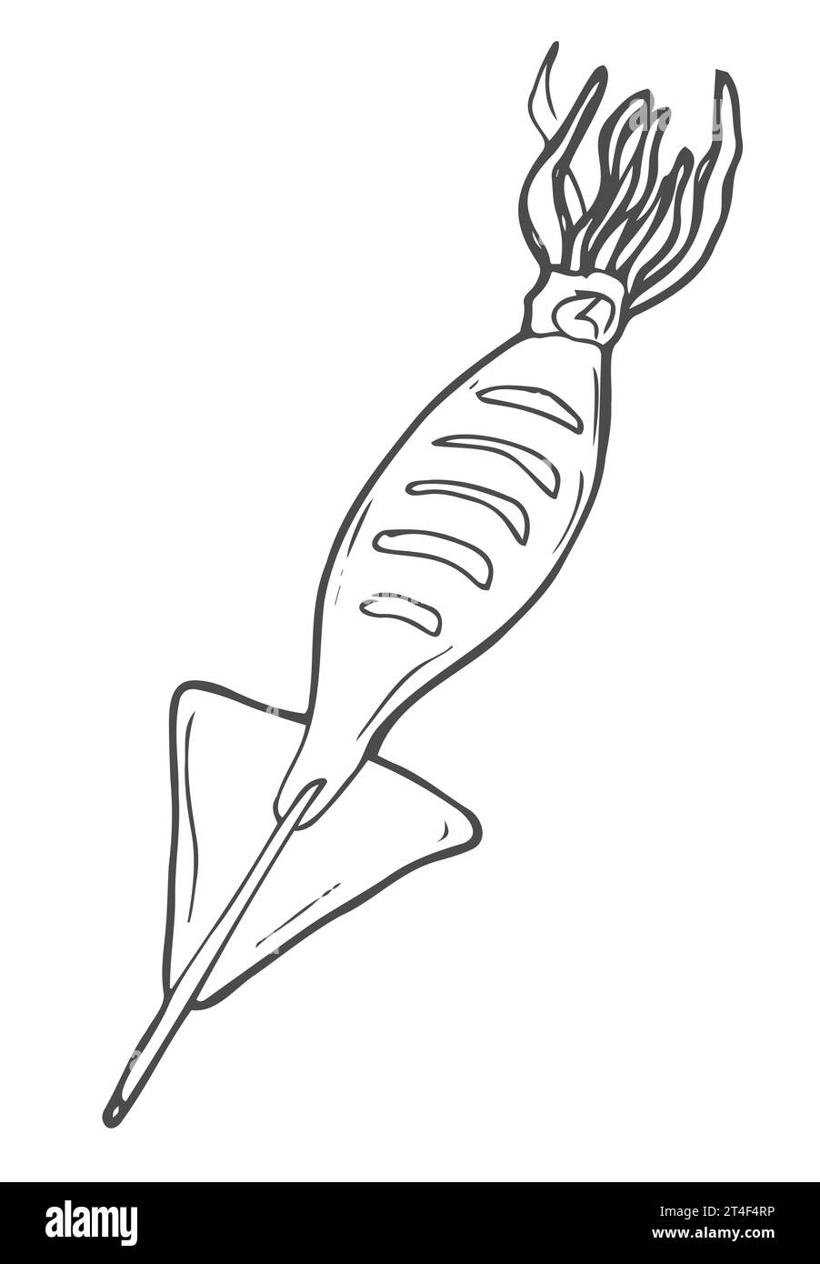 Spiedino di calamari grigliato. Schizzo di calamari cotti Illustrazione Vettoriale