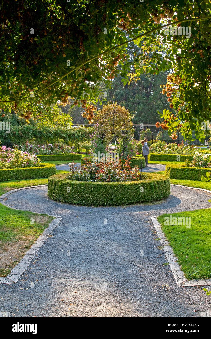 Il Victorian Rose Garden a Government House, Victoria, Vancouver Island Foto Stock