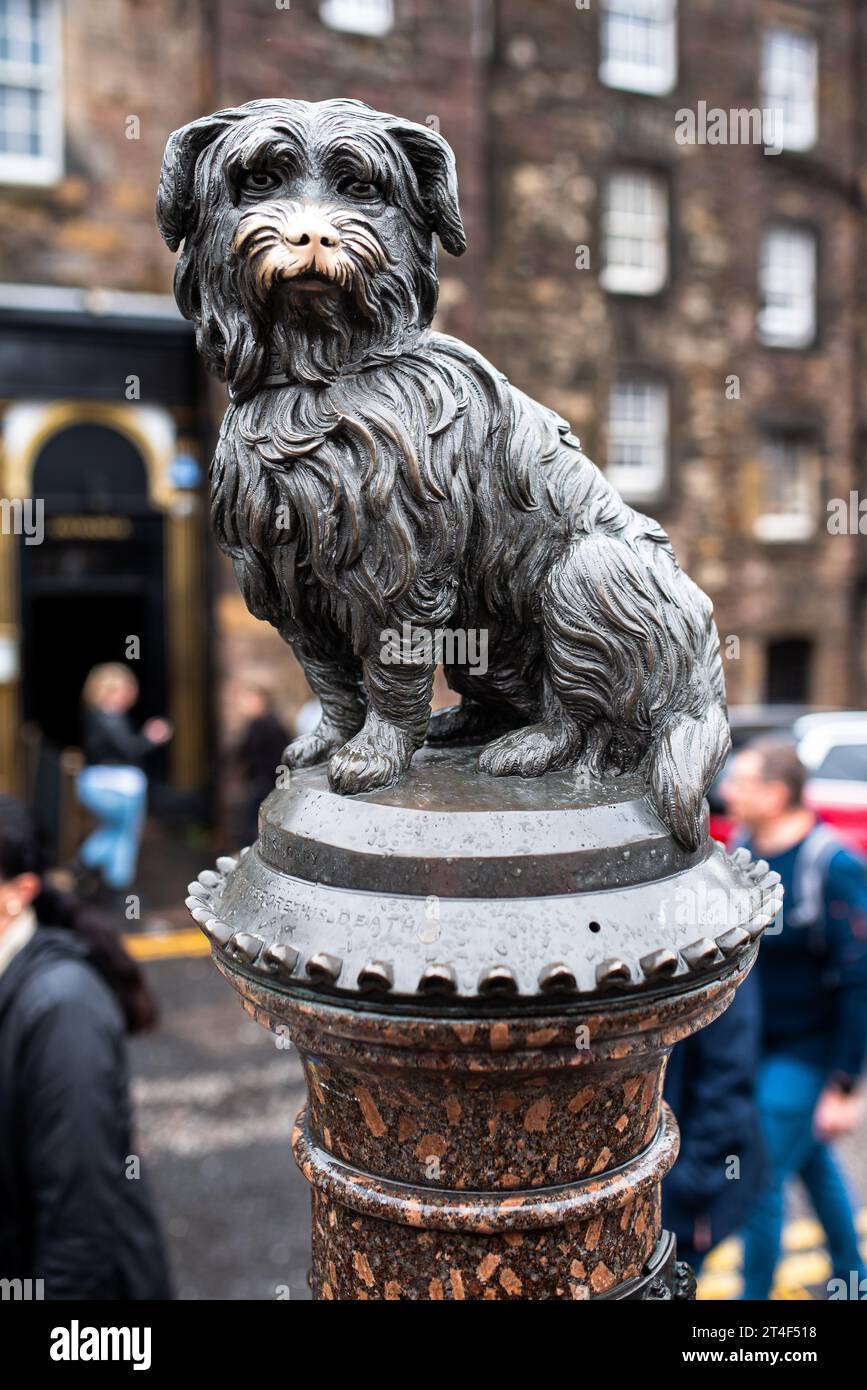 Questa statua di Greyfriars Bobby a Edimburgo. Foto Stock