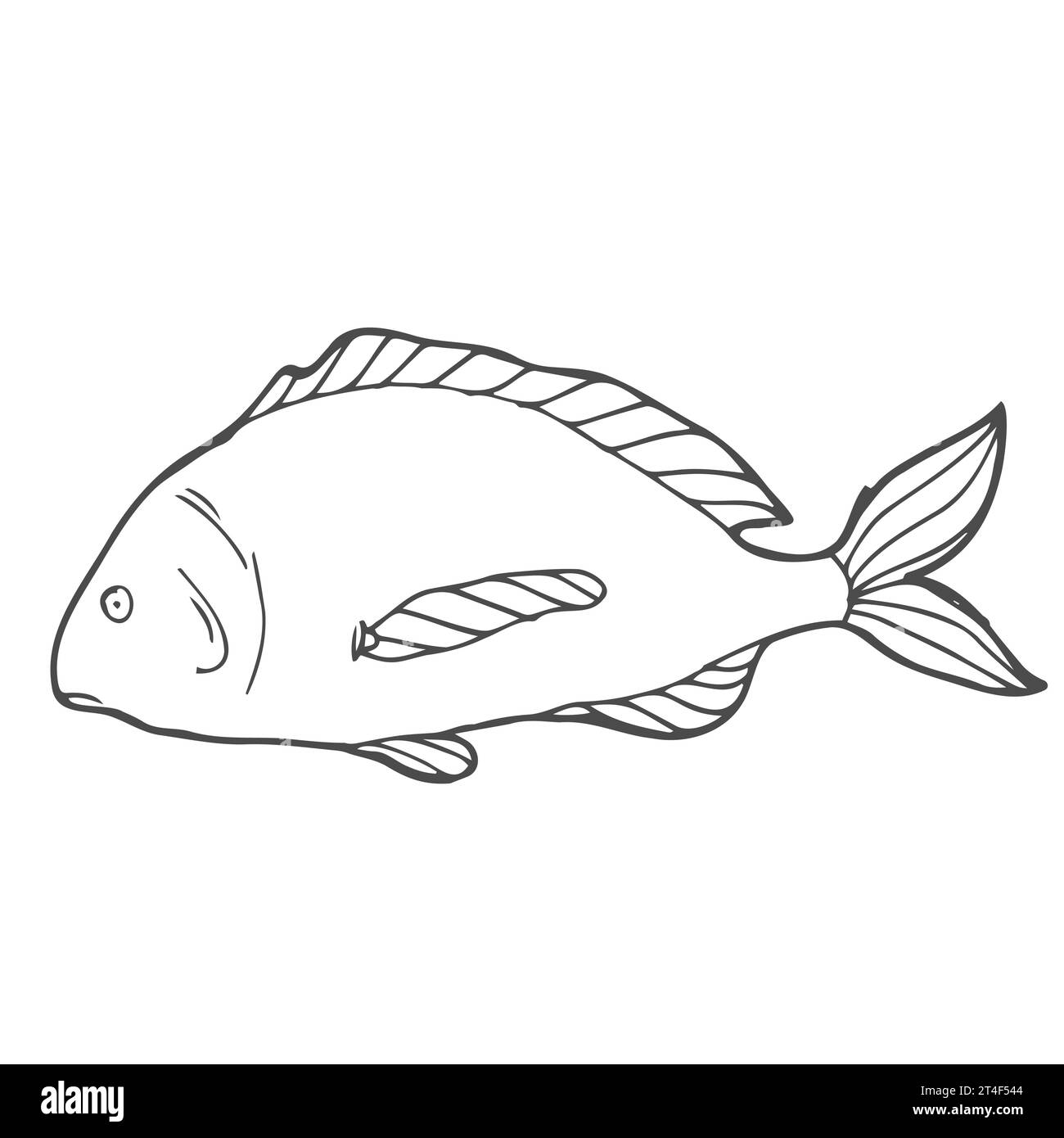 Disegno a mano di pesce vettoriale, illustrazione vintage in bianco e nero del pesce salmone. Oggetto isolato su sfondo bianco. Illustrazione Vettoriale