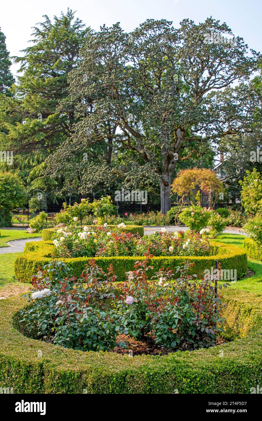 Il Victorian Rose Garden a Government House, Victoria, Vancouver Island Foto Stock