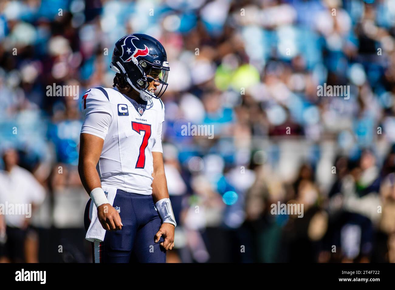 29 ottobre 2023: Il quarterback degli Houston Texans C.J. Stroud (7) durante il primo quarto contro i Carolina Panthers nella partita NFL a Charlotte, NC. (Scott Kinser/Cal Sport Media) Foto Stock