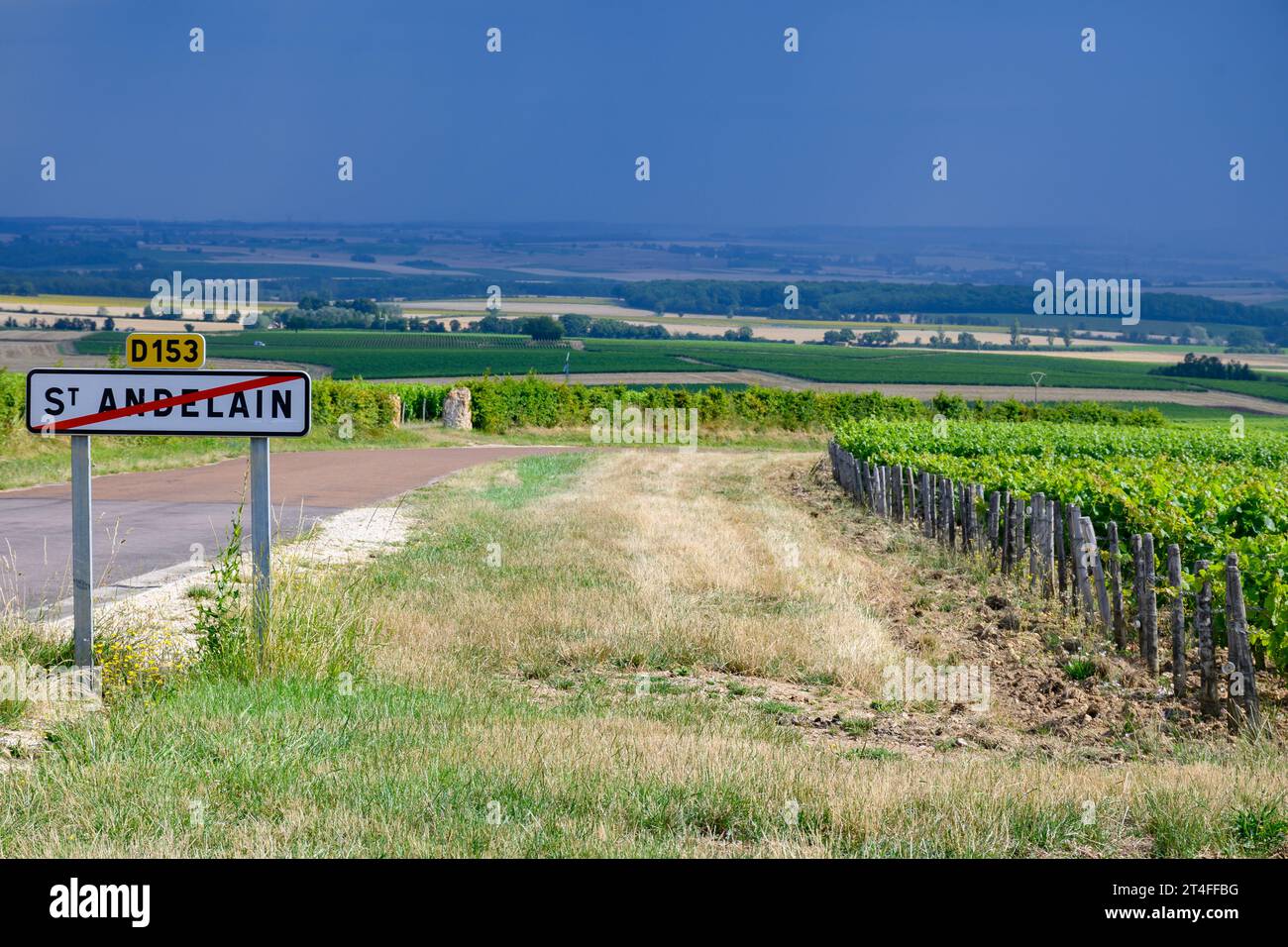 Vigneti di denominazione Pouilly-Fume, vinificazione di vino bianco secco ottenuto da uve sauvignon blanc, coltivate su diversi tipi di terreni, Francia Foto Stock