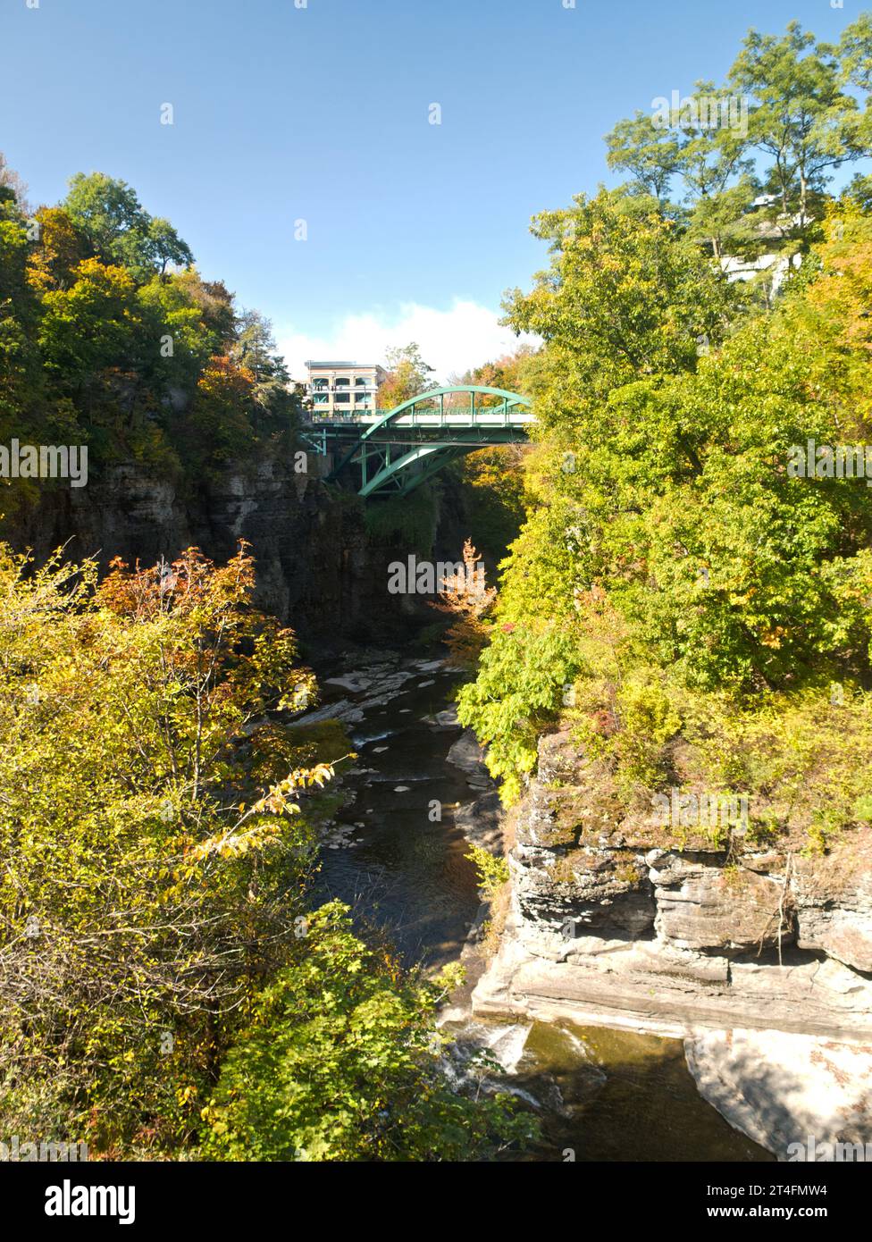 FALL CREEK GORGE Cornell University, Itaca New York Foto Stock