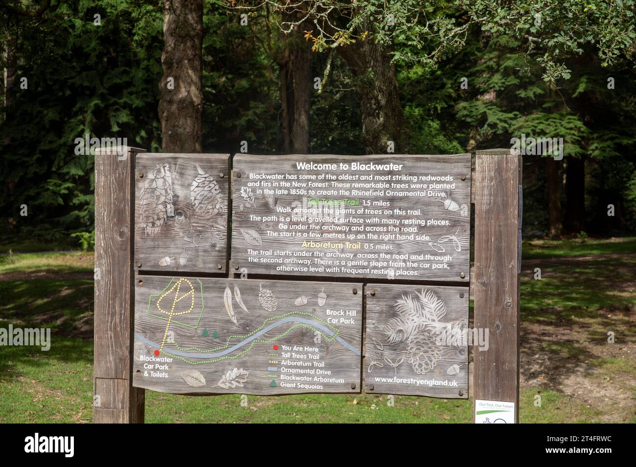 Blackwater, New Forest Hampshire, e cartello per Tall Trees Trail e sequoie giganti, Inghilterra, Regno Unito, 2023 Foto Stock