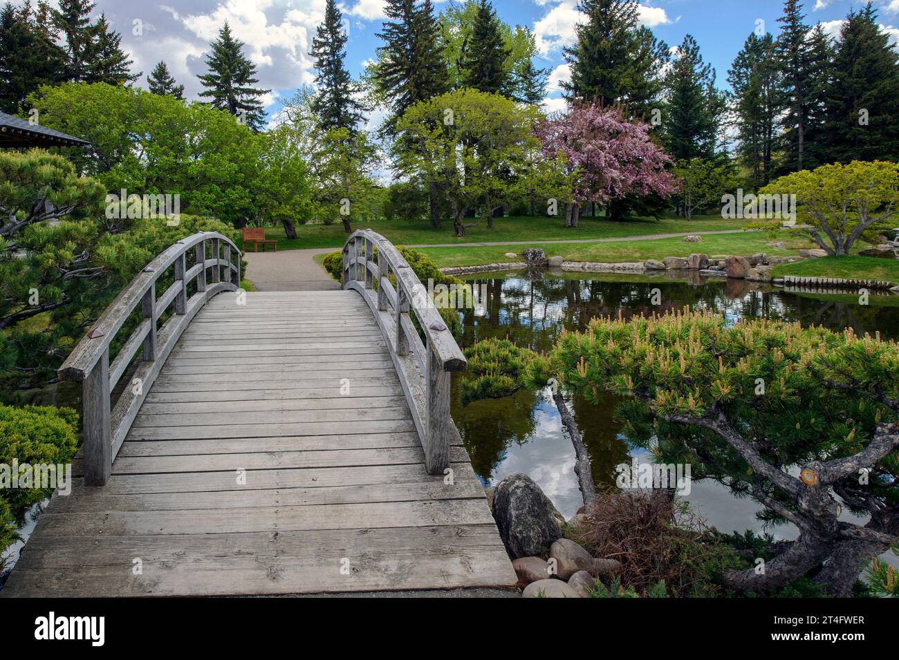 Il Nikka Yuko Japanese Garden è un giardino di 3,75 acri vicino al lago Henderson a Lethbridge, Alberta Foto Stock