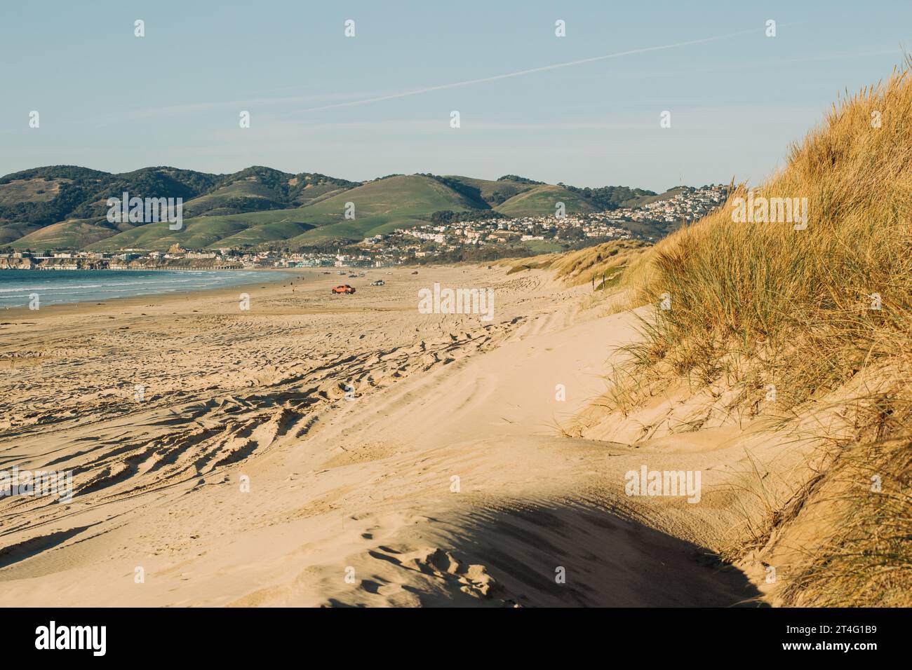 Dune di sabbia con piante native sulla spiaggia, verdi colline con paesaggio urbano in silhouette sullo sfondo, e cielo azzurro chiaro. Paesaggio della California Foto Stock