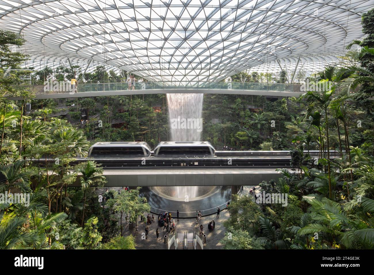 Lo Sky Train si sposta all'interno dell'interno dell'aeroporto Jewel Changi per ammirare gli interni lussureggianti e verdi e le cascate al coperto più alte del mondo. Singapore Foto Stock