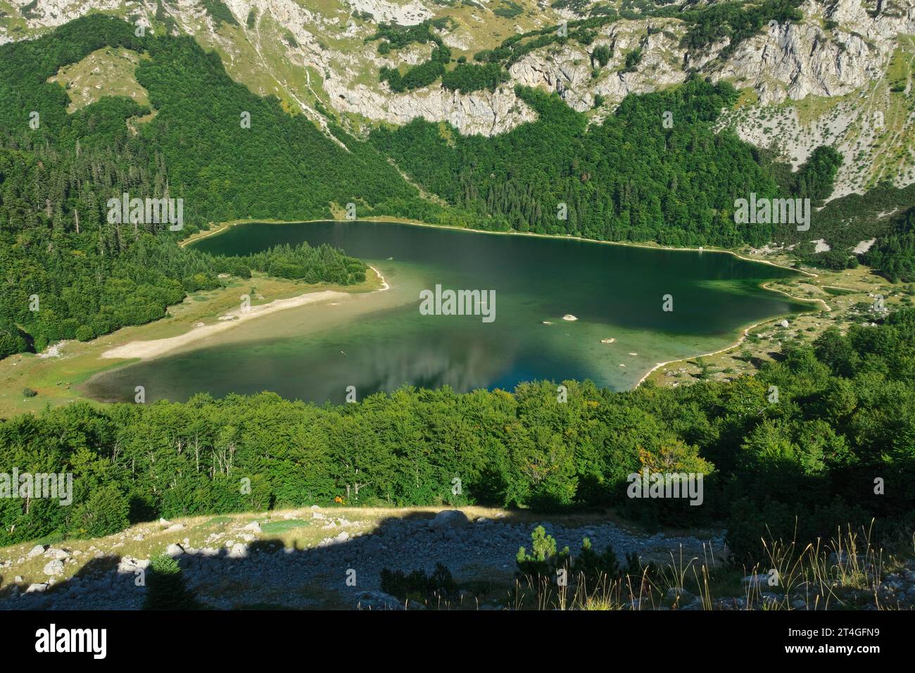 Lago Trnovacko a forma di cuore verde nel Parco naturale di Piva, Montenegro Foto Stock