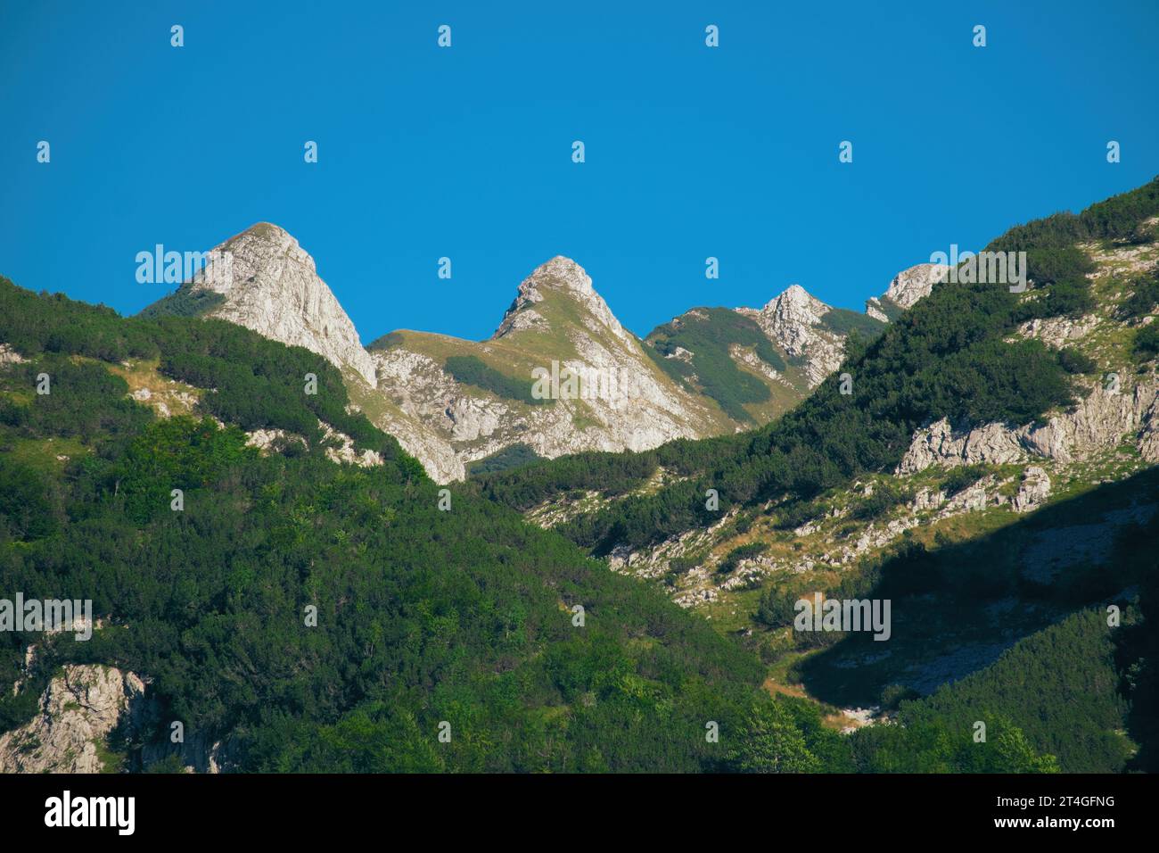 Vette montuose nel Parco naturale di Piva, Montenegro Foto Stock