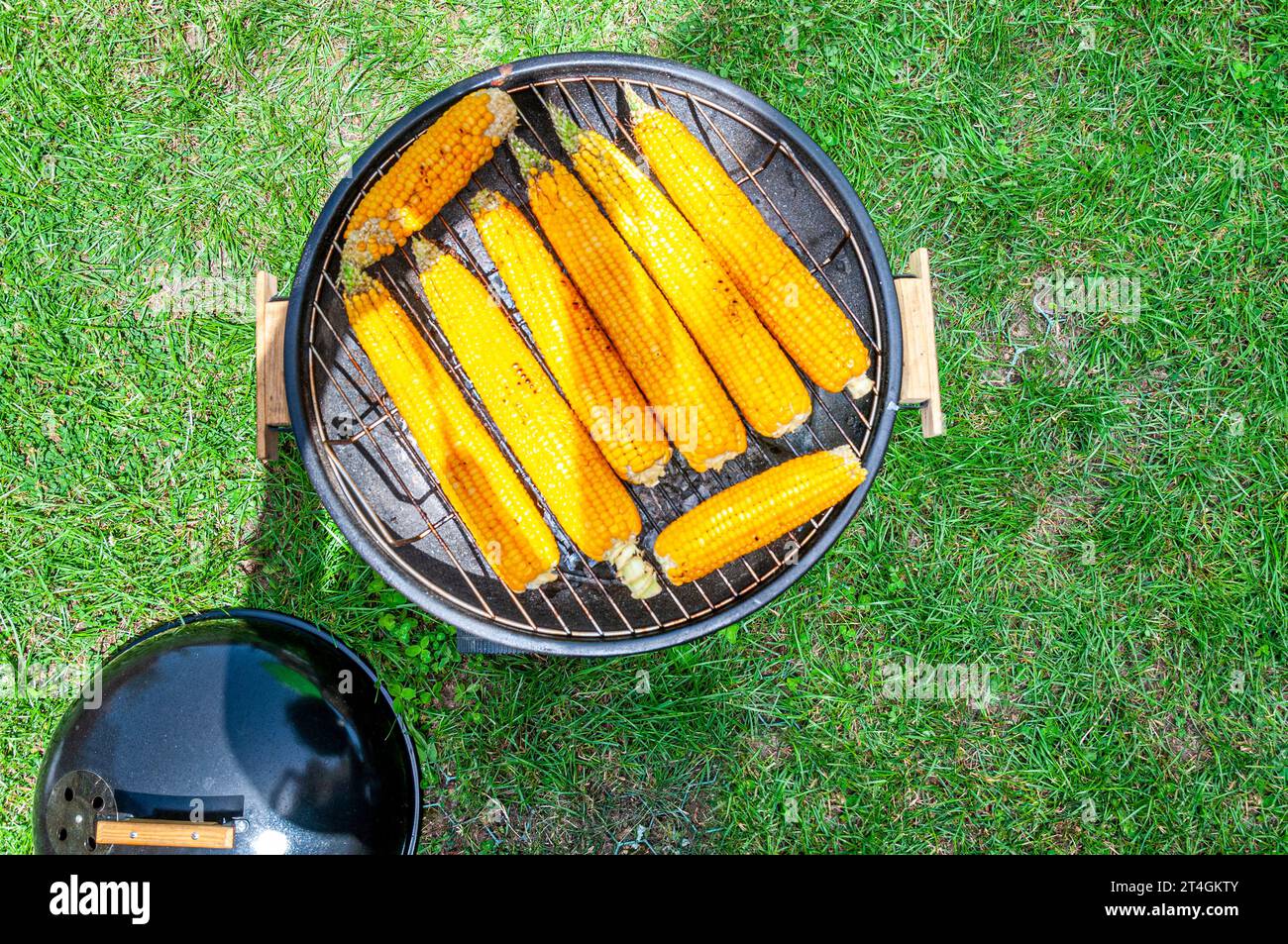 Barbecue rotondo con pannocchie di mais arrosto su prato verde Foto Stock