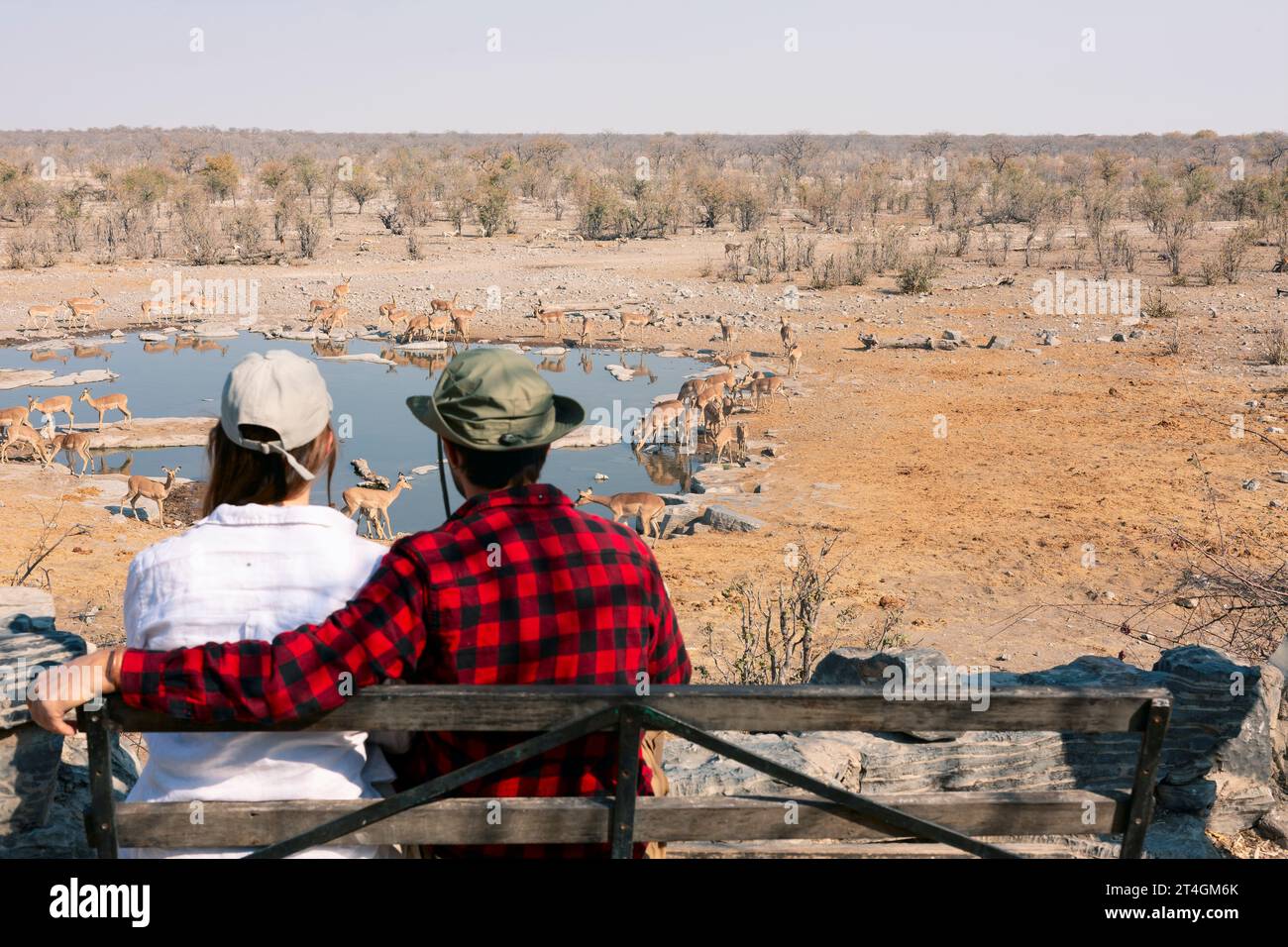 Vista posteriore di giovani coppie che osservano animali nella savana africana, nel parco nazionale di Etosha, in Namibia Foto Stock