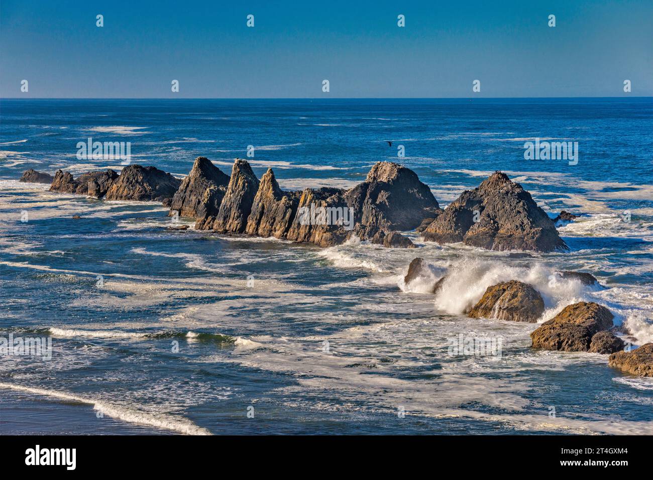 Sea Stacks al Seal Rock State Park, Oregon Islands National Wildlife Refuge, vicino a Newport, Oregon, Stati Uniti Foto Stock