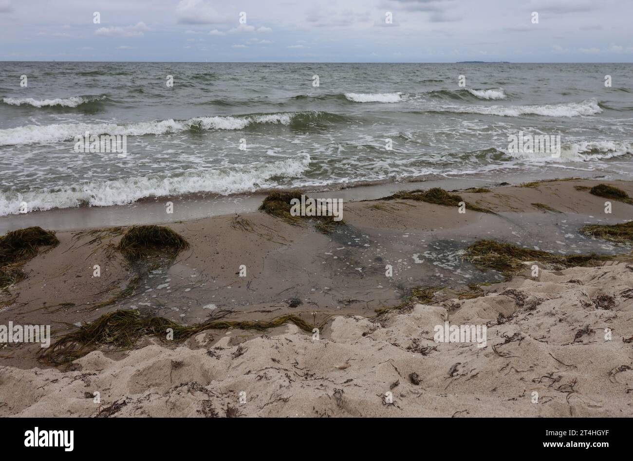 Una giornata ventosa sulla spiaggia del Mar Baltico di Thiessow sull'isola di Rügen Foto Stock