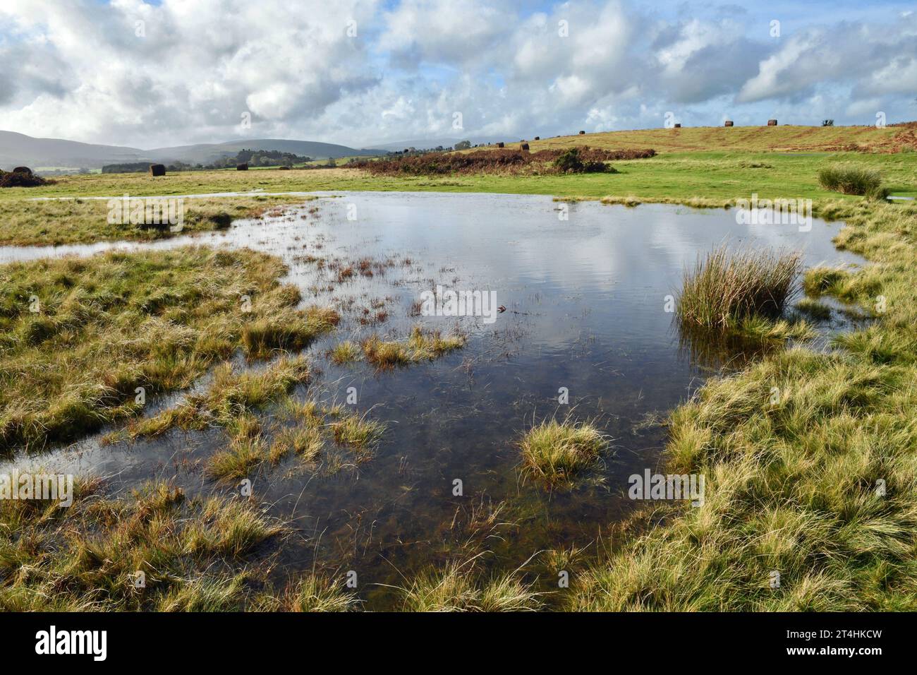 Un laghetto anche su Mynydd Illtyd Common al sole con una bella vista e lo stagno pieno di riflessi nella contea di Powys, nel Galles del Sud Foto Stock