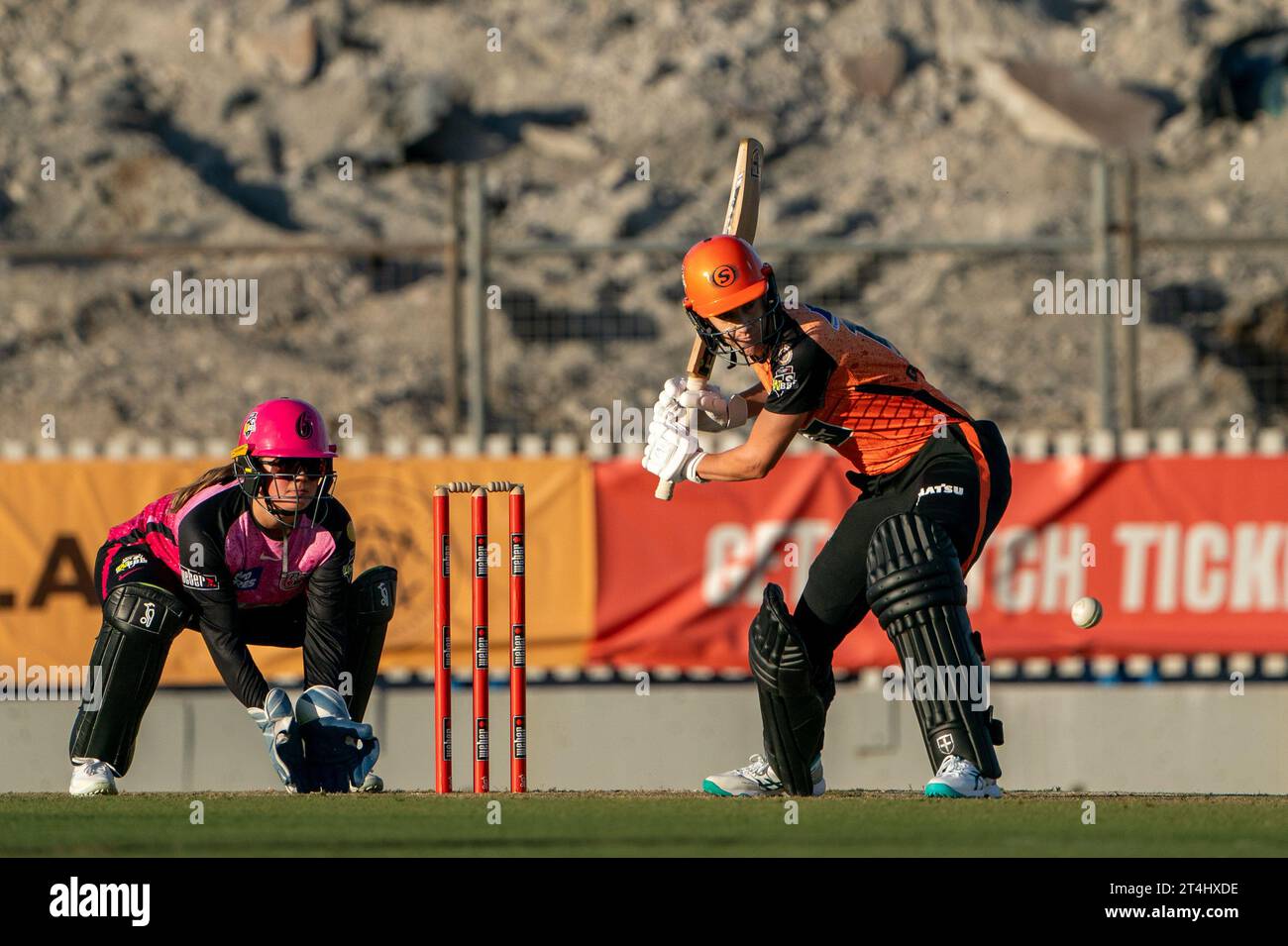 Perth, Australia. 31 ottobre 2023. Perth, Australia, 31 ottobre 2023: Lisa Griffith (14 Perth Scorchers) batte durante la partita Weber Womens Big Bash League 09 tra Perth Scorchers e Sydney Sixers al WACA Ground di Perth, Australia (Noe Llamas/SPP) credito: SPP Sport Press Photo. /Alamy Live News Foto Stock