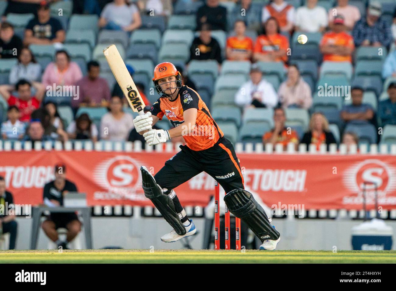 Perth, Australia. 31 ottobre 2023. Perth, Australia, 31 ottobre 2023: Amy Jones (40 Perth Scorchers) batte durante la partita Weber Womens Big Bash League 09 tra Perth Scorchers e Sydney Sixers al WACA Ground di Perth, Australia (Noe Llamas/SPP) credito: SPP Sport Press Photo. /Alamy Live News Foto Stock