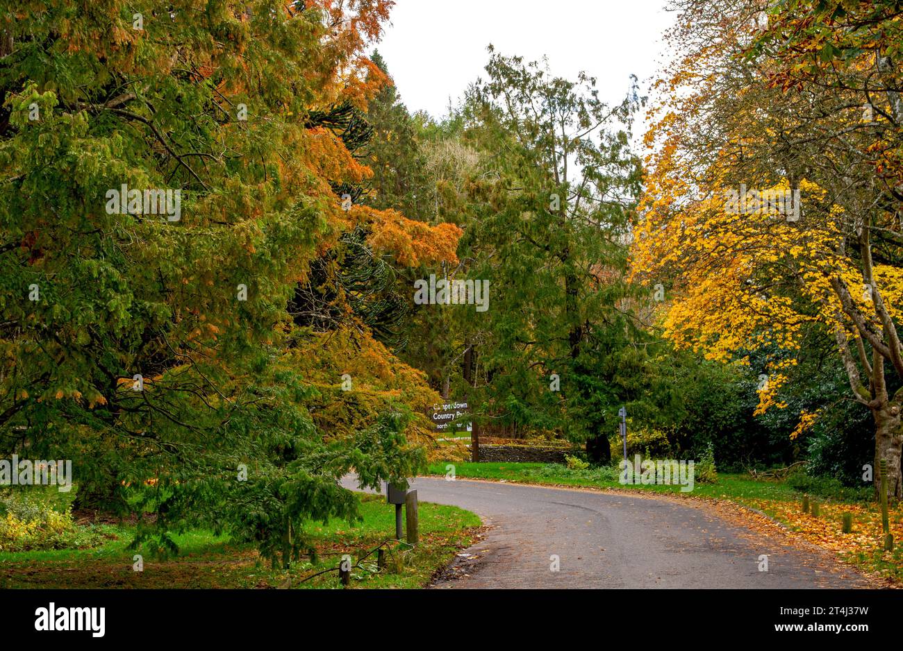 Dundee, Tayside, Scozia, Regno Unito. 31 ottobre 2023. Tempo nel Regno Unito: Bellissime scene autunnali al Dundee Camperdown Country Park in Scozia. Crediti: Dundee Photographics/Alamy Live News Foto Stock