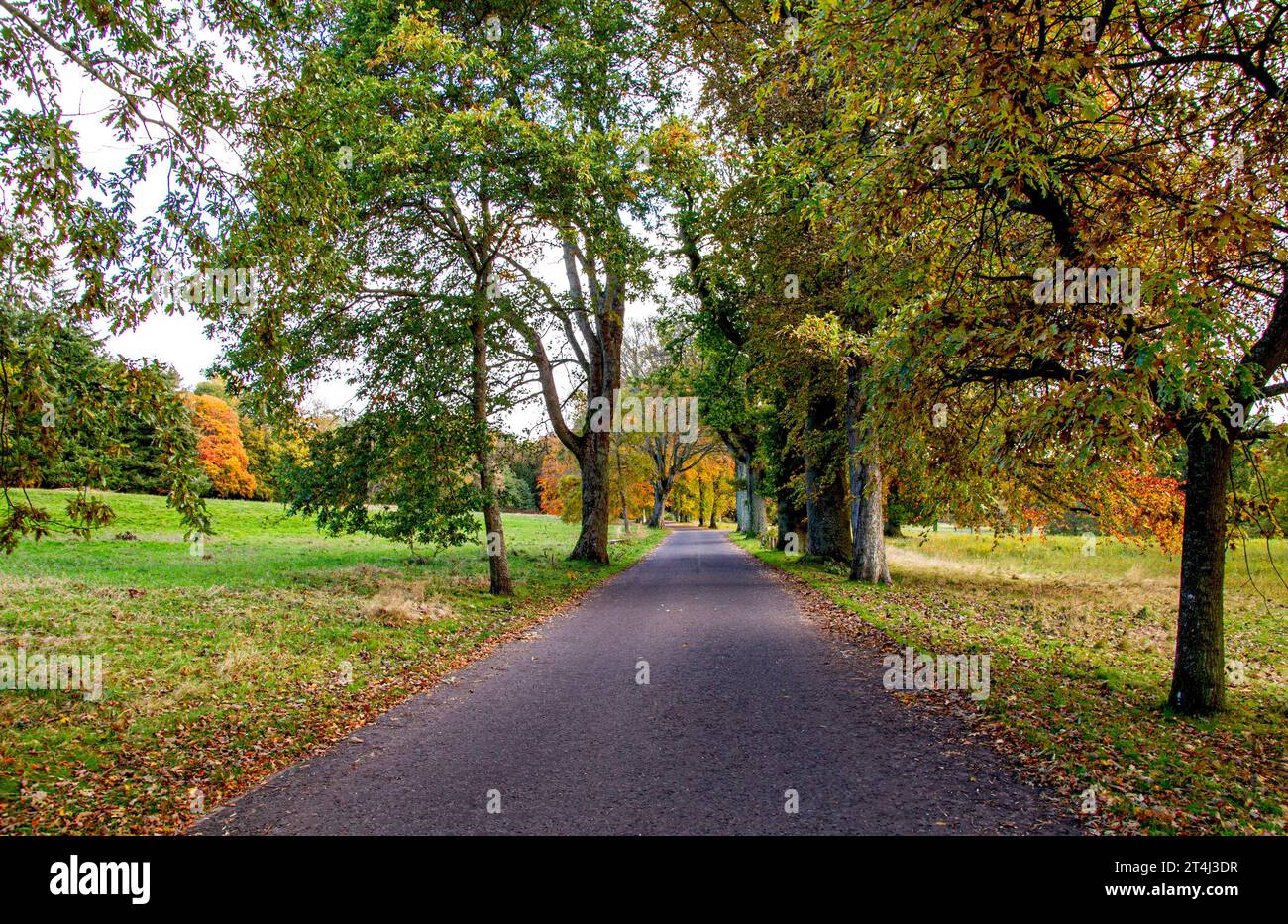 Dundee, Tayside, Scozia, Regno Unito. 31 ottobre 2023. Tempo nel Regno Unito: Bellissime scene autunnali al Dundee Camperdown Country Park in Scozia. Crediti: Dundee Photographics/Alamy Live News Foto Stock