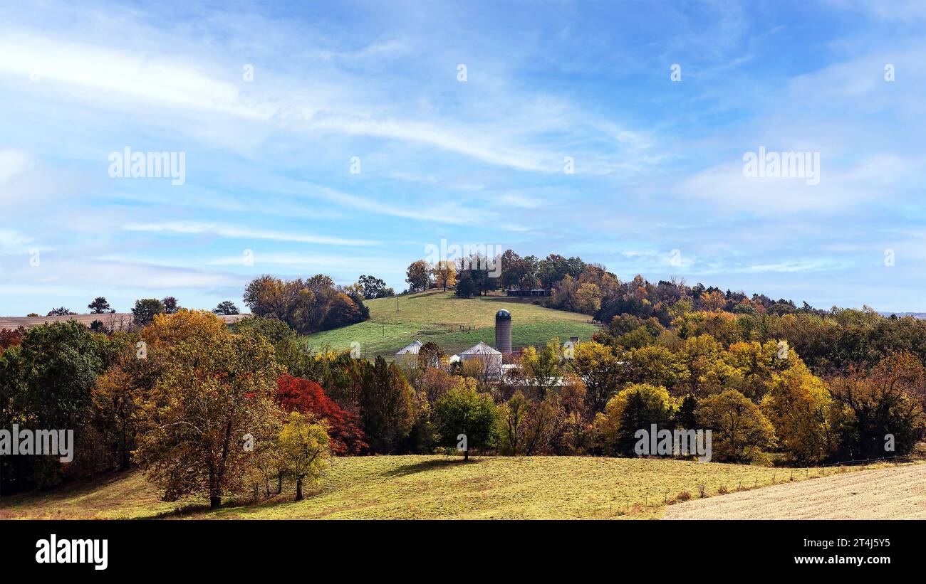 paesaggio autunnale panoramico con foglie colorate Foto Stock