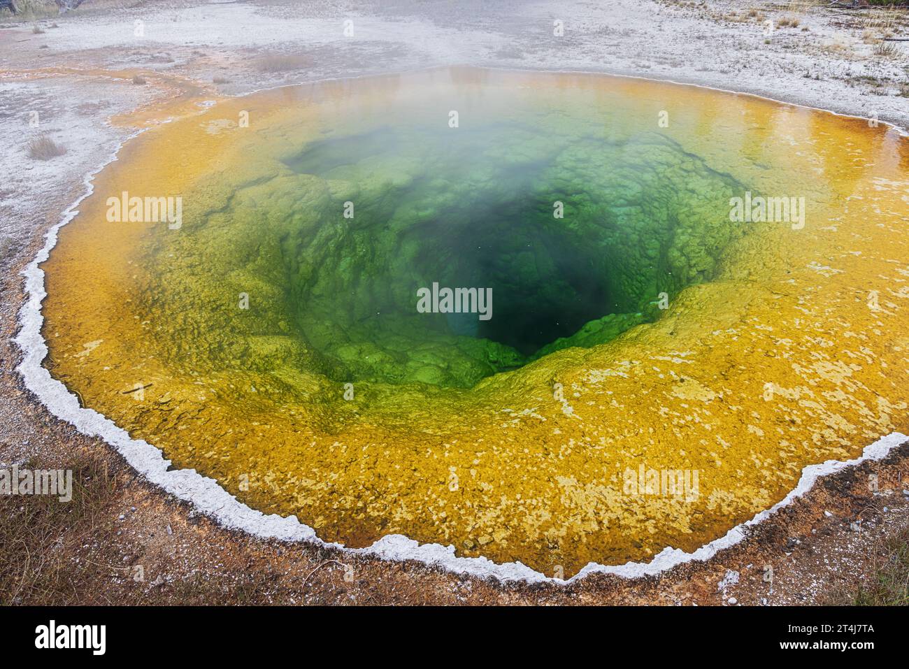 La colorata Morning Glory Pool nell'Upper Geyser Basin nel parco nazionale di Yellowstone Foto Stock
