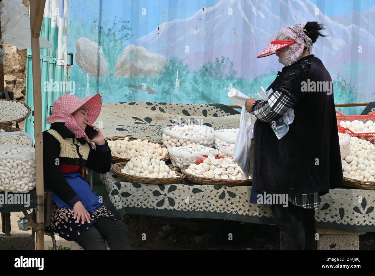 Donne uzbeke che vendono formaggio e altri prodotti locali su una bancarella sulla strada per Shahrisabz, Uzbekistan Foto Stock