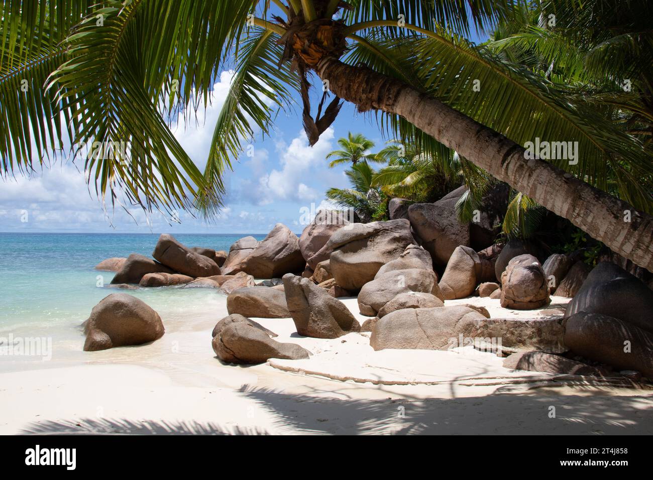 Splendida spiaggia orlata di palme, acque turchesi e massi di granito presso il lussuoso hotel e resort Constance Lemuria, Praslin, Seychelles, Oceano Indiano Foto Stock