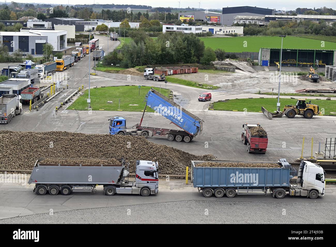 Tienen, Belgio. 31 ottobre 2023. La figura mostra la Tiense Suikerraffinaderij - raffinerie Tirlemontoise, a Tienen, martedì 31 ottobre 2023. BELGA PHOTO ERIC LALMAND Credit: Belga News Agency/Alamy Live News Foto Stock