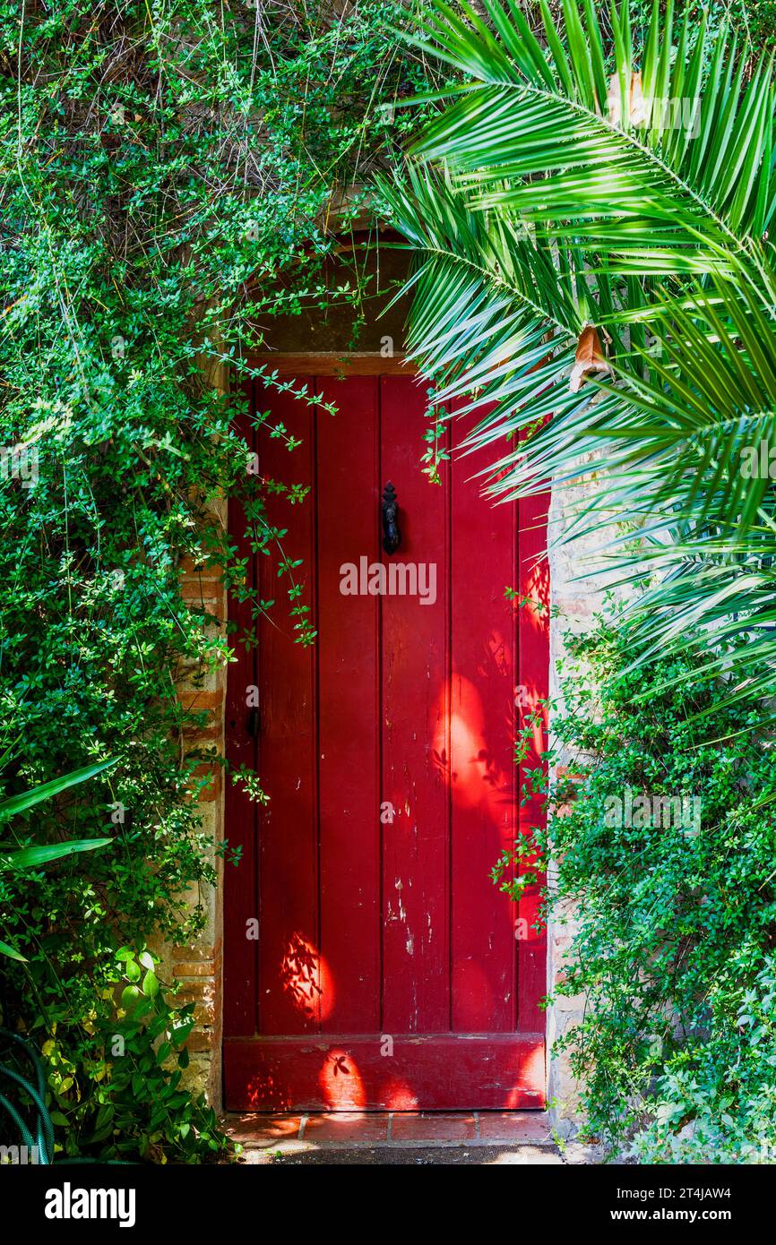 Una bella porta rossa circondata da arbusti che offre una sensazione di intimità e recinzione a le Castellet, Francia. Foto Stock