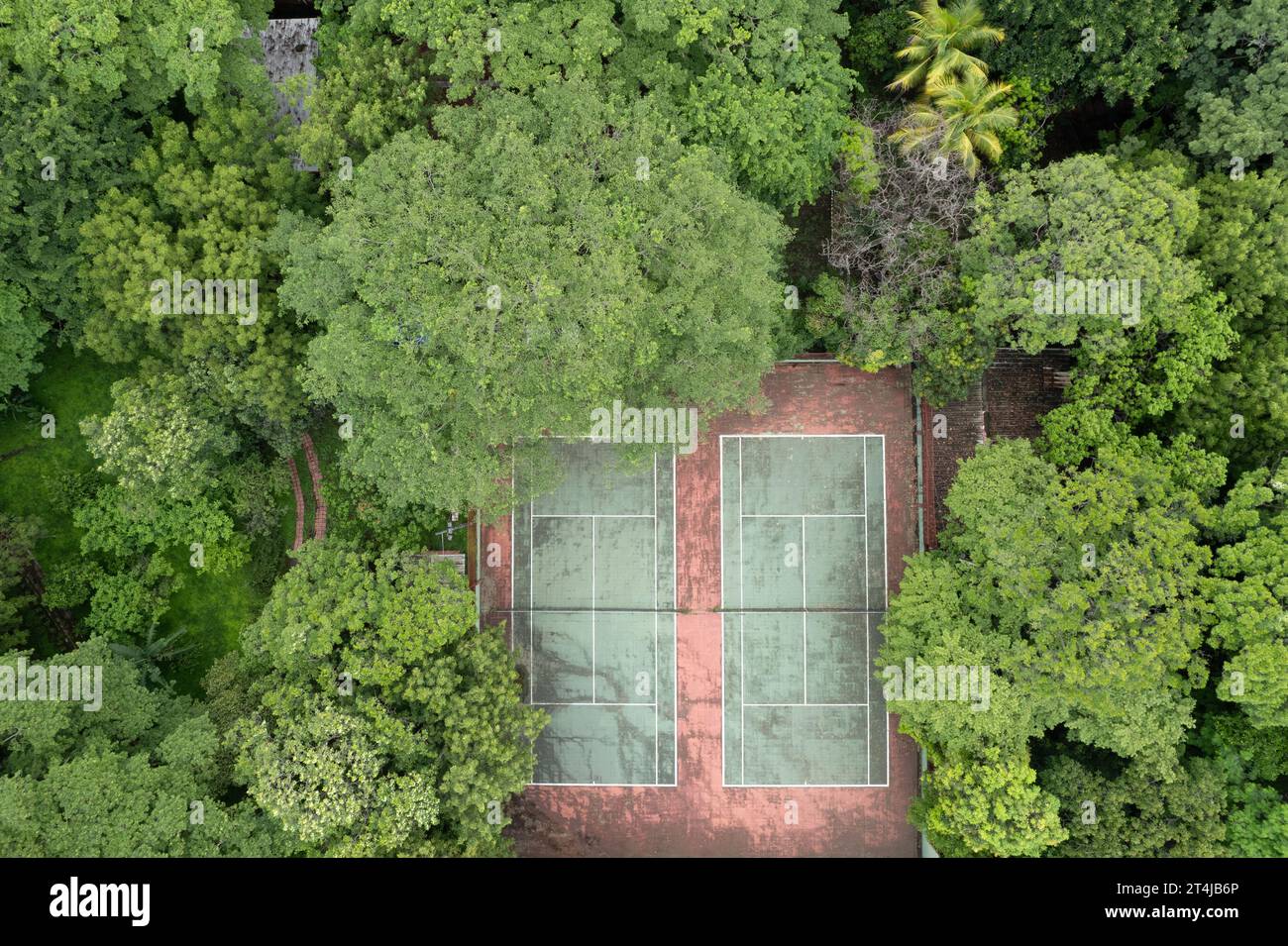 La fotografia aerea cattura un campo da tennis in argilla rossa annidato nel mezzo di una fitta foresta. Il campo e' segnato da linee bianche ed e' circondato da alti, Foto Stock