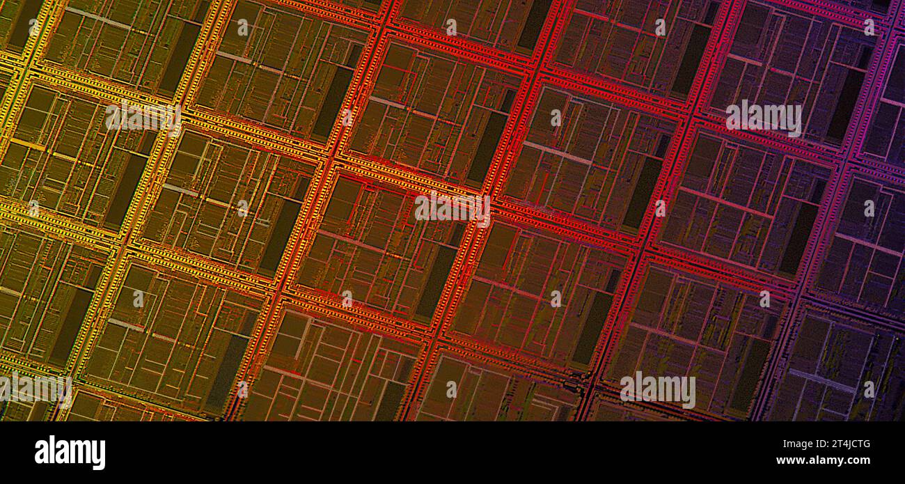 Primo piano di Silicon Chips Foto Stock