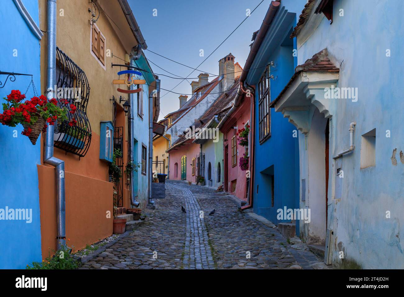 Sulle strade della fortezza medievale e della città di Sighisoara con case colorate. Foto scattata il 14 agosto 2023 a Sighisoara, Transilvania Reg Foto Stock