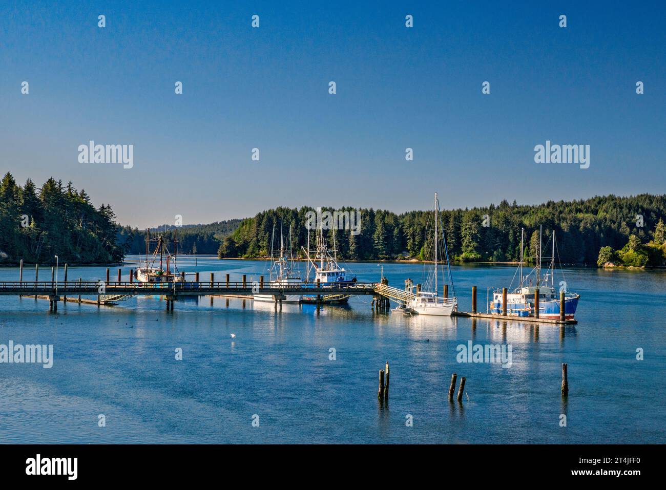 Barche da diporto e barche da pesca ormeggiate a South Slough, vicino a Coos Bay, a Charleston, Oregon, Stati Uniti Foto Stock