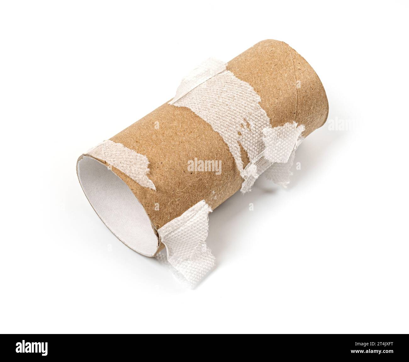 Rotolo di carta igienica vuoto su sfondo bianco Foto Stock