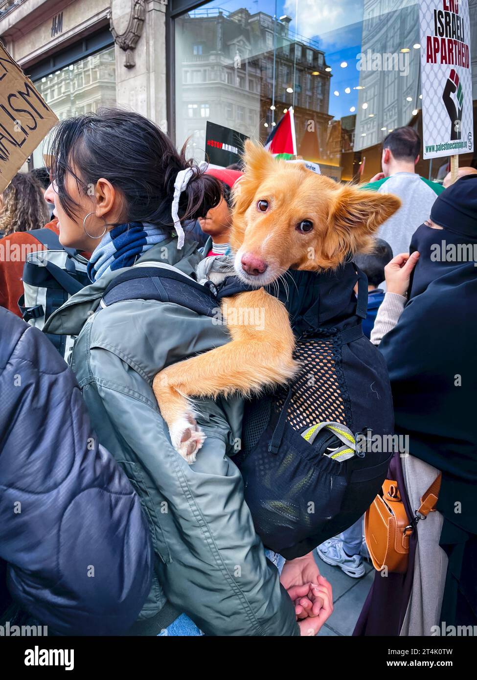 Cane in protesta. Protesta pro-palestinese a Londra. 2023. Foto Stock