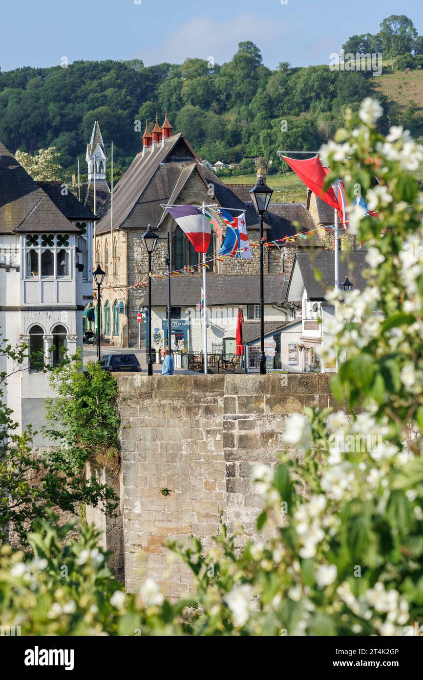 Vista della città dal ponte Llangollen Llangollen Denbighshire Galles Regno Unito Foto Stock