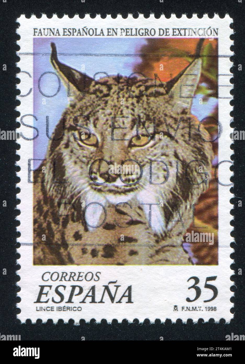 SPAGNA - CIRCA 1998: Francobollo stampato dalla Spagna, mostra Lynx, circa 1998 Foto Stock