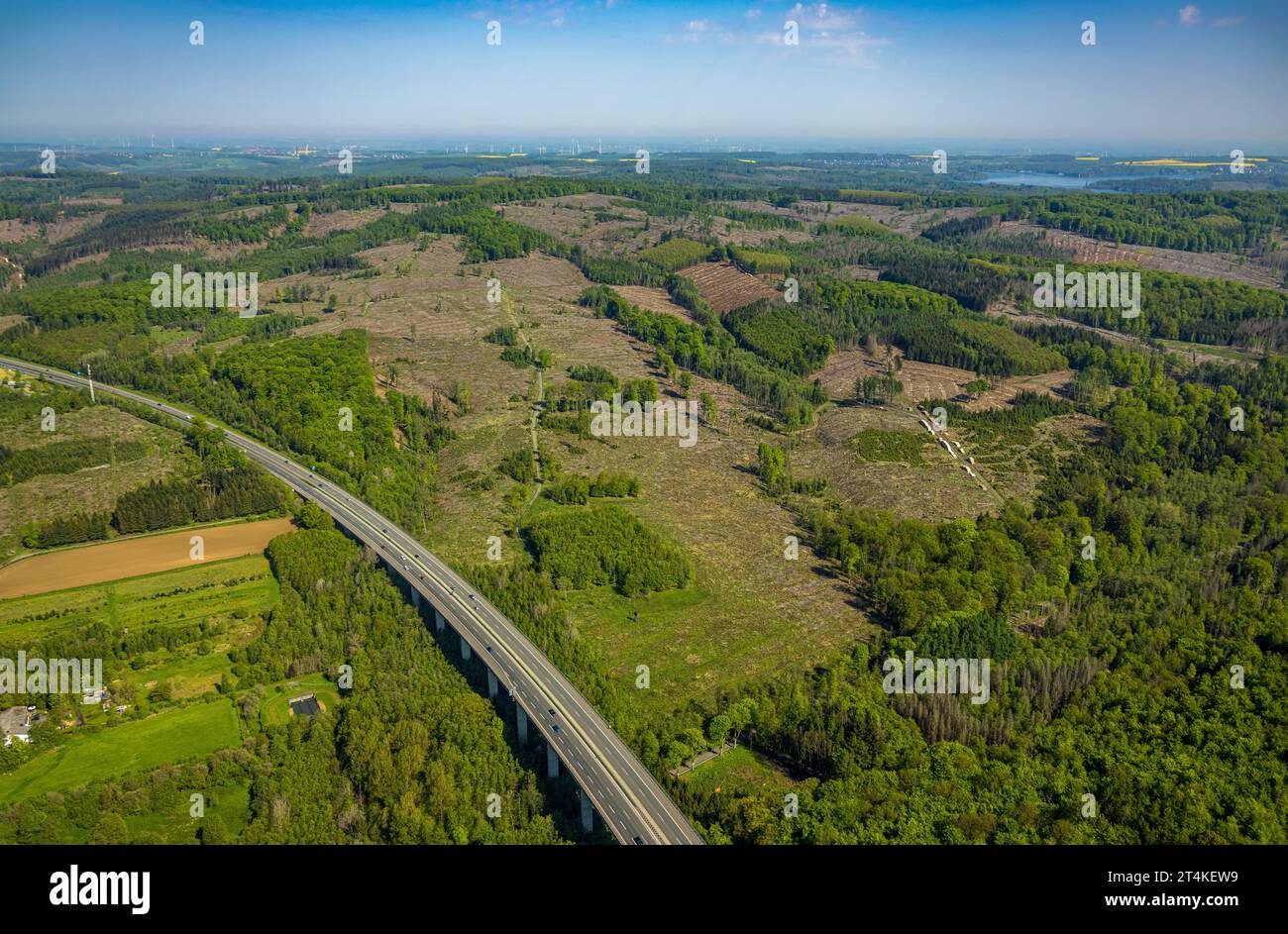 Foto aerea, danni forestali, sulla superstrada A46, area Wannetal, Niedereimer, Arnsberg, Sauerland, Renania settentrionale-Vestfalia, Germania, Tree Death, Bark bee Foto Stock