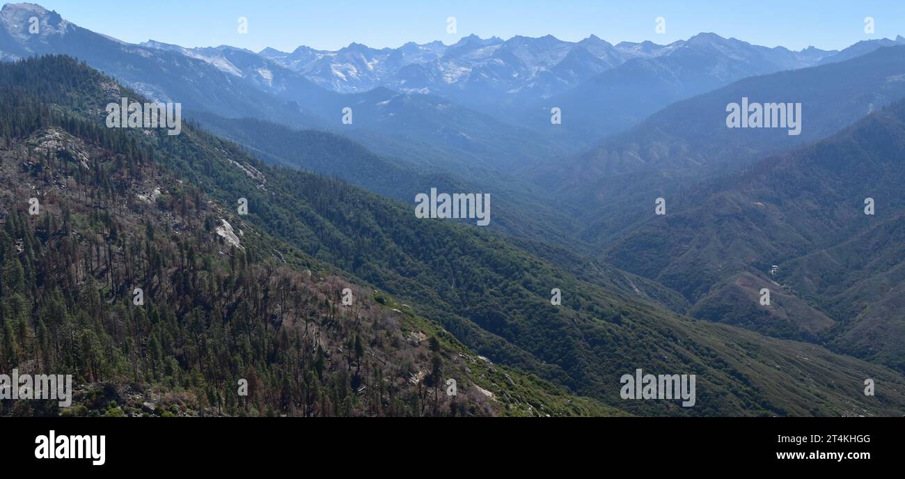 Ammira a est da Moro Rock verso il Great Western divide, il Sequoia National Park, California, USA. Foto Stock