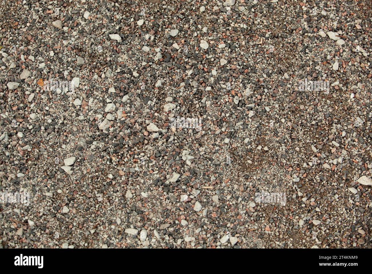 Piccoli mari con pietre di colore grigio. Asfalto. Trama. Contesto. Per testo Tallinn Foto Stock