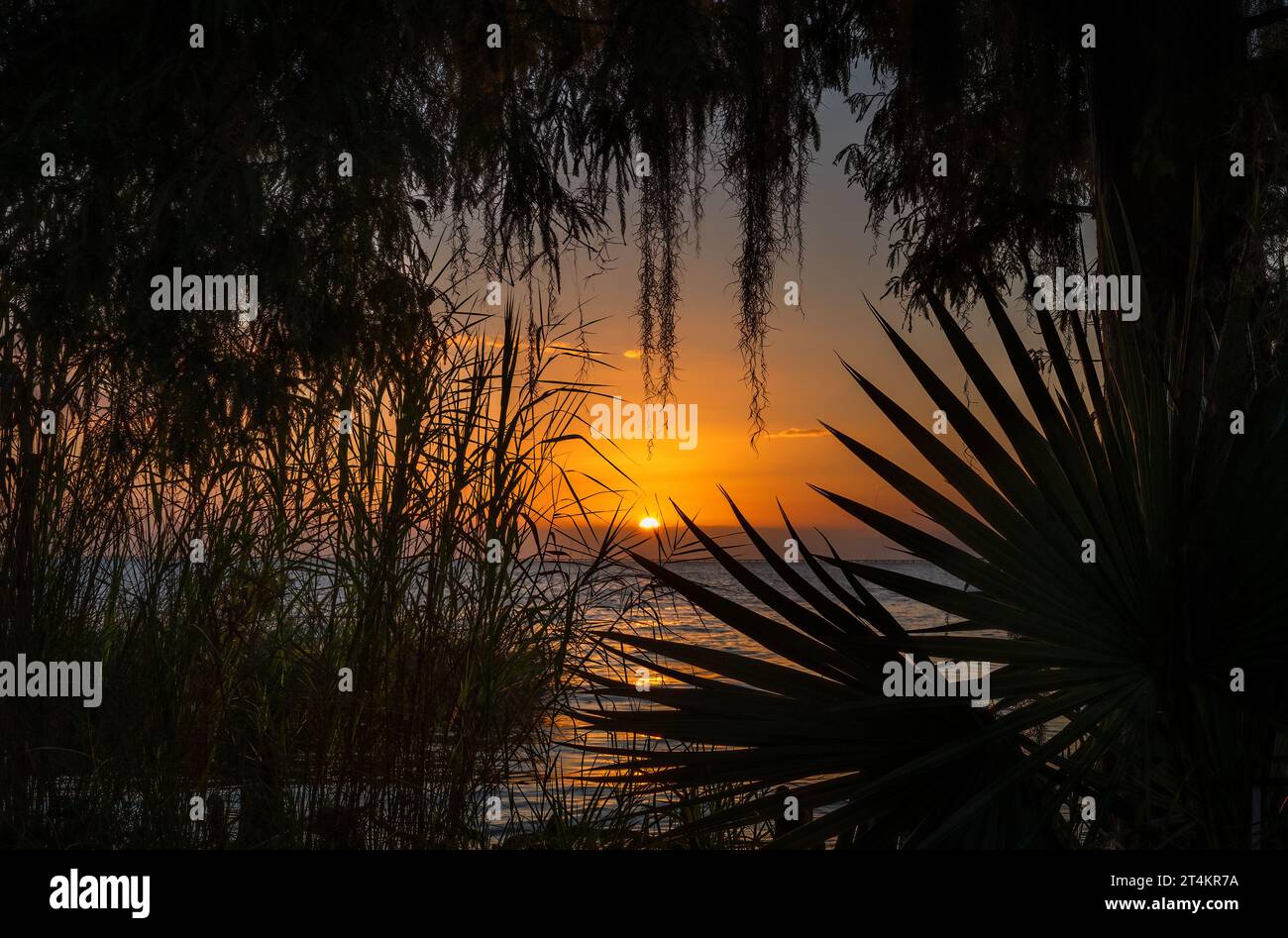 Un tramonto incorniciato dalla natura in Lousiana Foto Stock