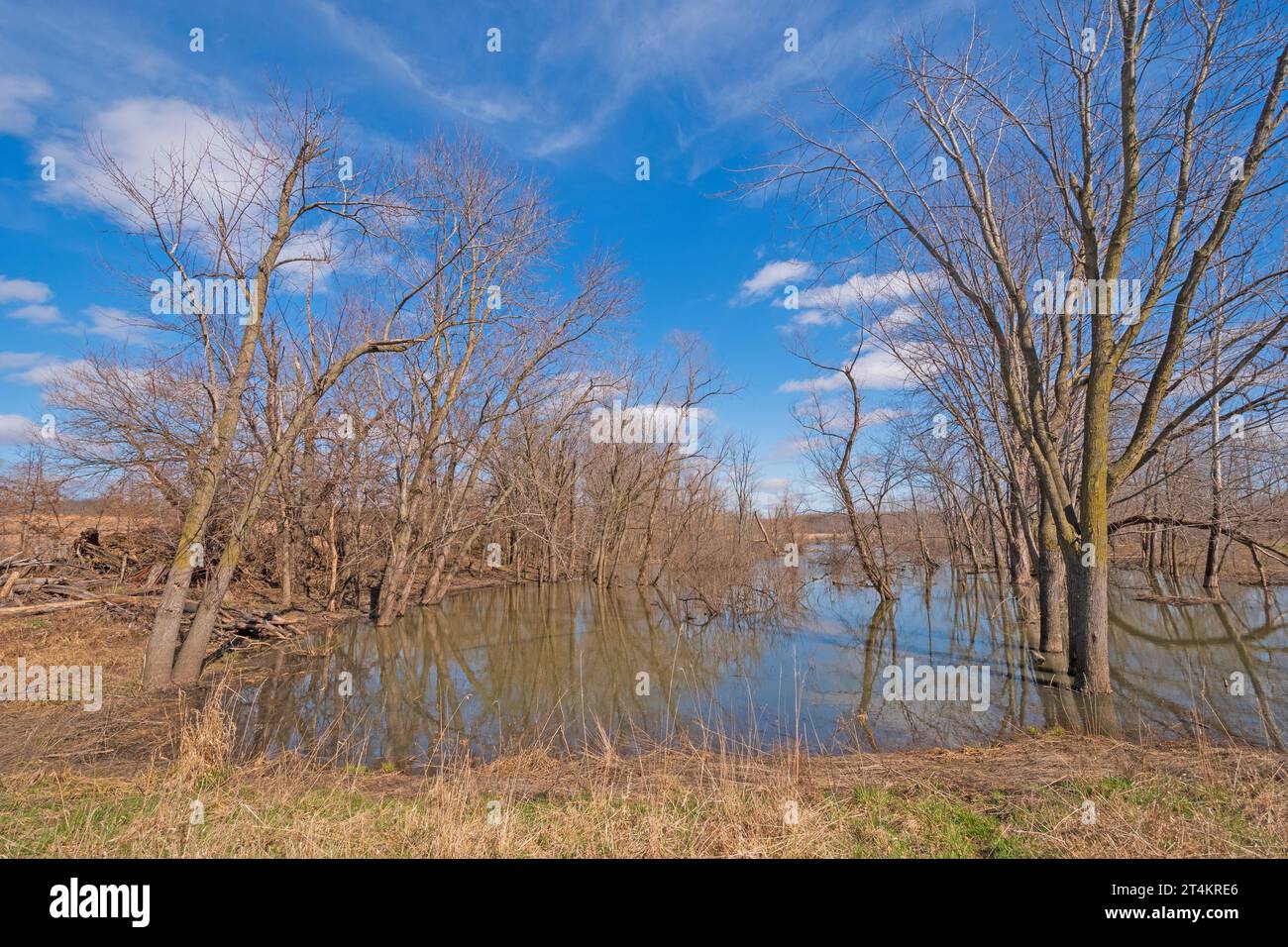 Bacini umidi lungo il fiume Mississippi vicino a Clinton, Iowa Foto Stock