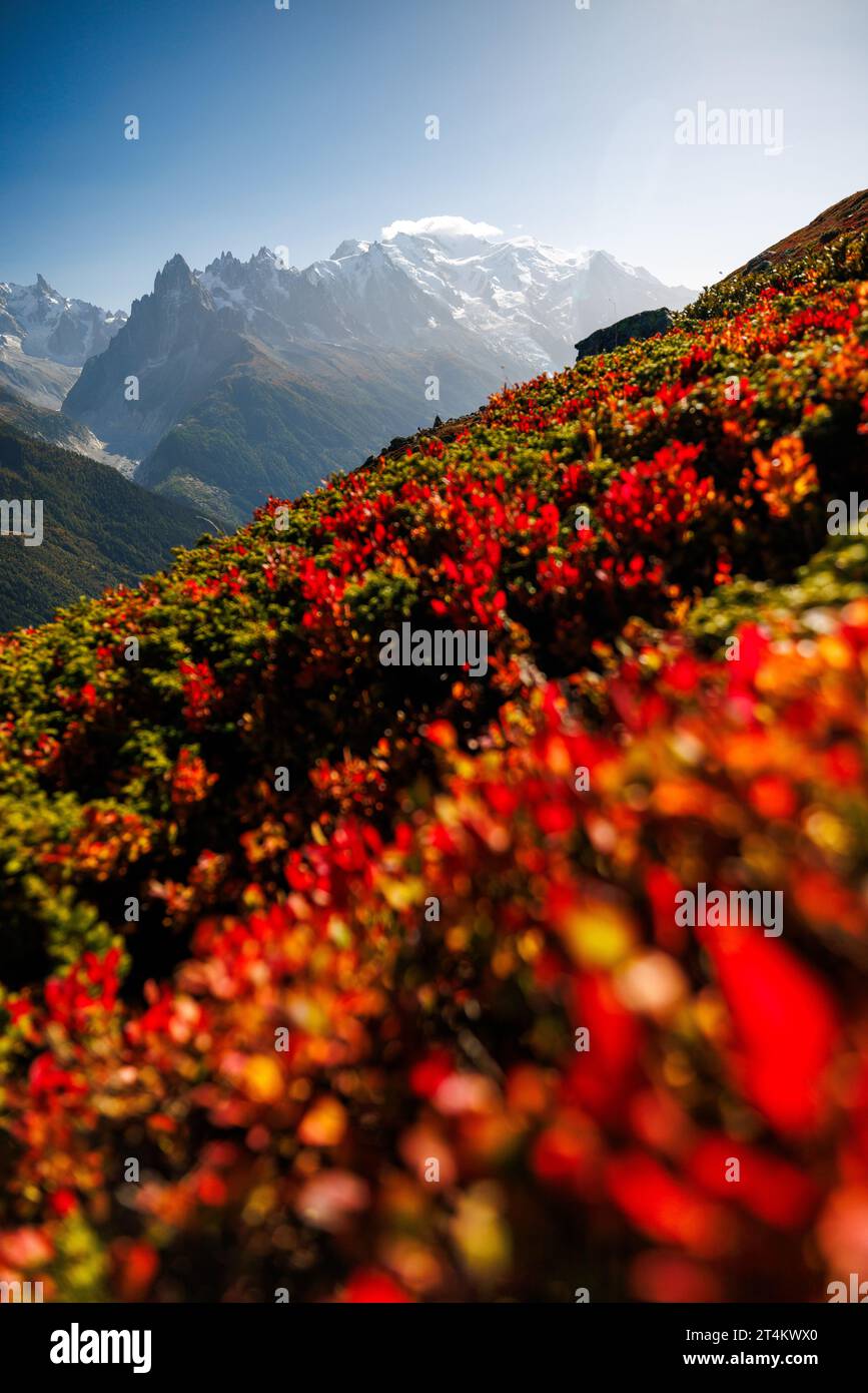 Montagne del Monte bianco in autunno a Chamonix Foto Stock