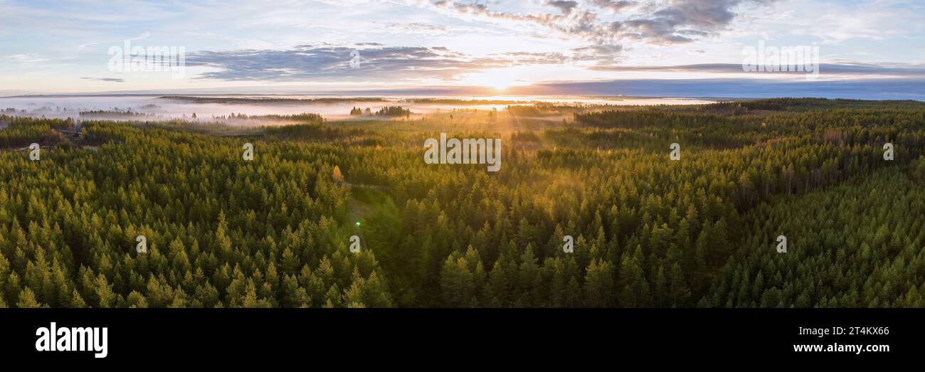 Foto panoramica con droni dell'alba nebbiosa sulla foresta, paesaggio nel nord della Svezia, raggi di luce e ombre dorati. Bella natura Foto Stock