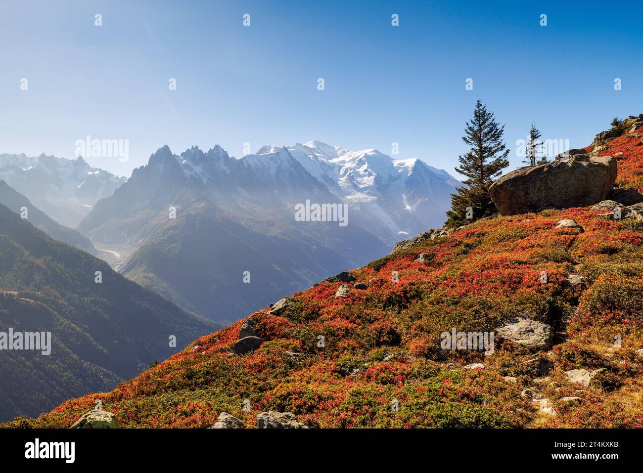 Colori autunnali a Chamonix con Aiguille du Midi e Mont Blanc in Francia Foto Stock
