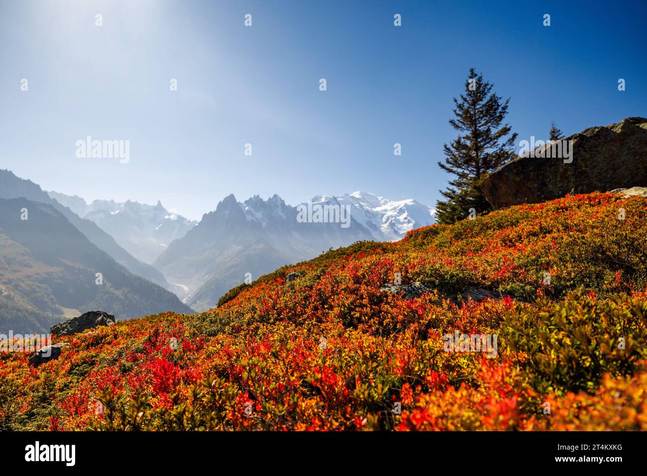 Colori autunnali a Chamonix con Aiguille du Midi e Mont Blanc in Francia Foto Stock