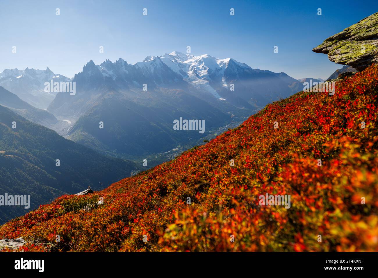Colori autunnali a Chamonix con Aiguille du Midi e Mont Blanc in Francia Foto Stock