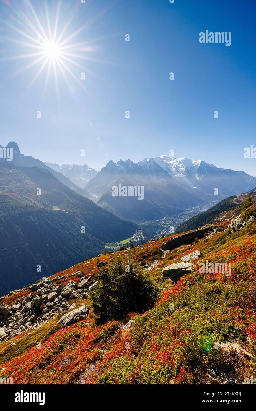 Colori autunnali a Chamonix con Aiguille du Midi e Mont Blanc in Francia Foto Stock