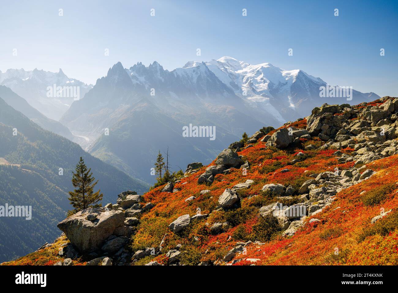 Colori autunnali a Chamonix con Aiguille du Midi e Mont Blanc in Francia Foto Stock